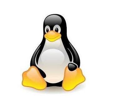 Linux Virtual Machine