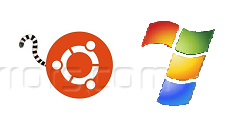 nstall Ubuntu 13.04 alongside Windows 7