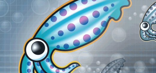 installing squid caching proxy